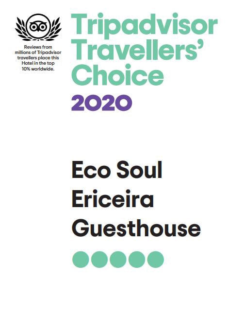 Premio Traveller´s Choice 2020_Eco Soul Ericeira Guesthouse_Trip Advisor