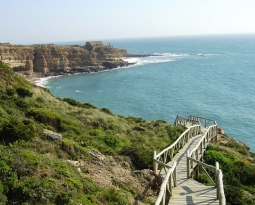 Coronavirus in Ericeira – Last updates on Covid-19